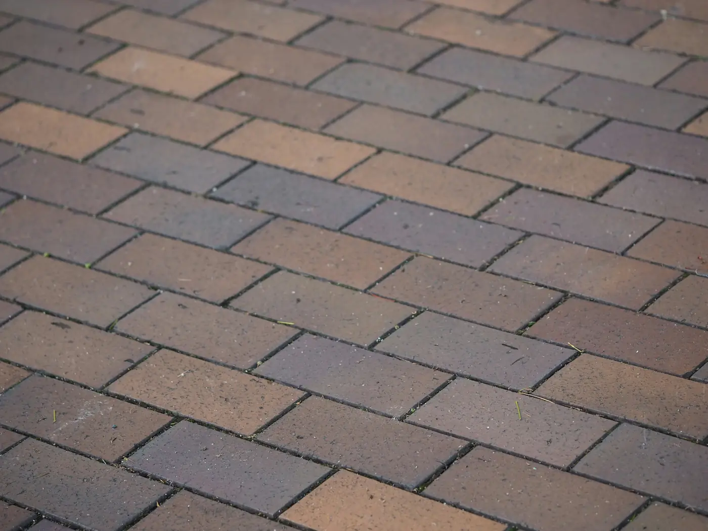 Paving work