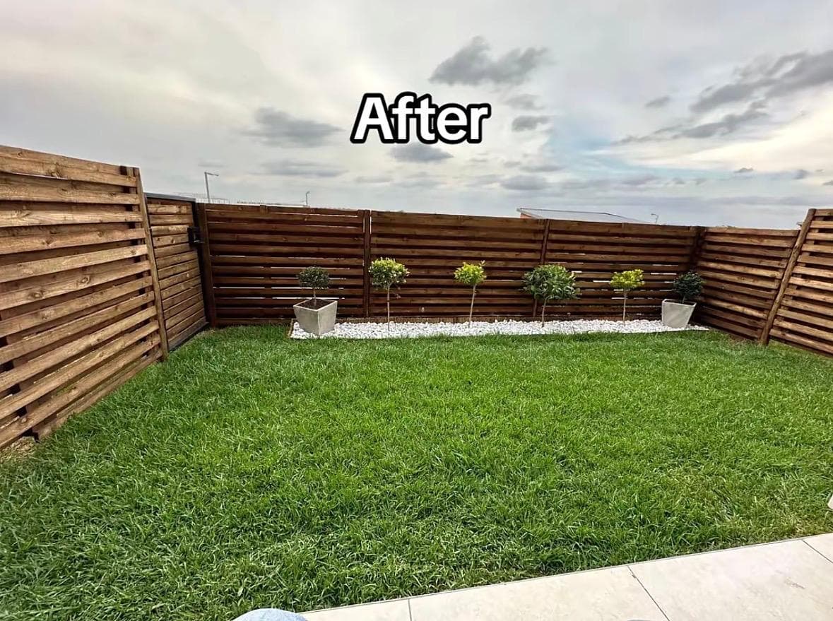 Backyard